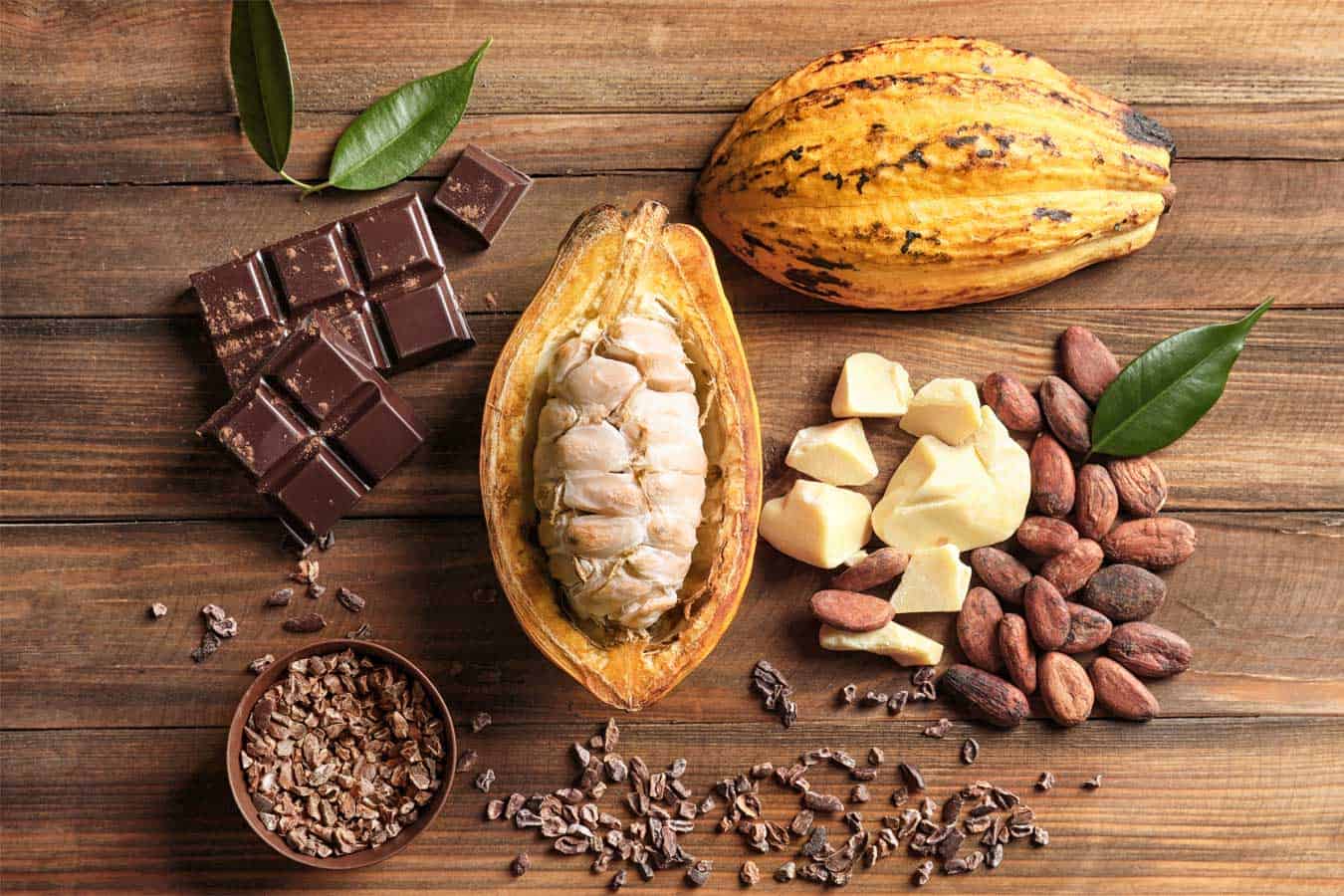 chocolate-101-a-dummies-guide-to-chocolate