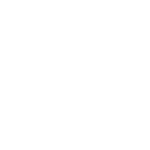 whisk